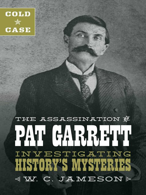 Cover image for Cold Case